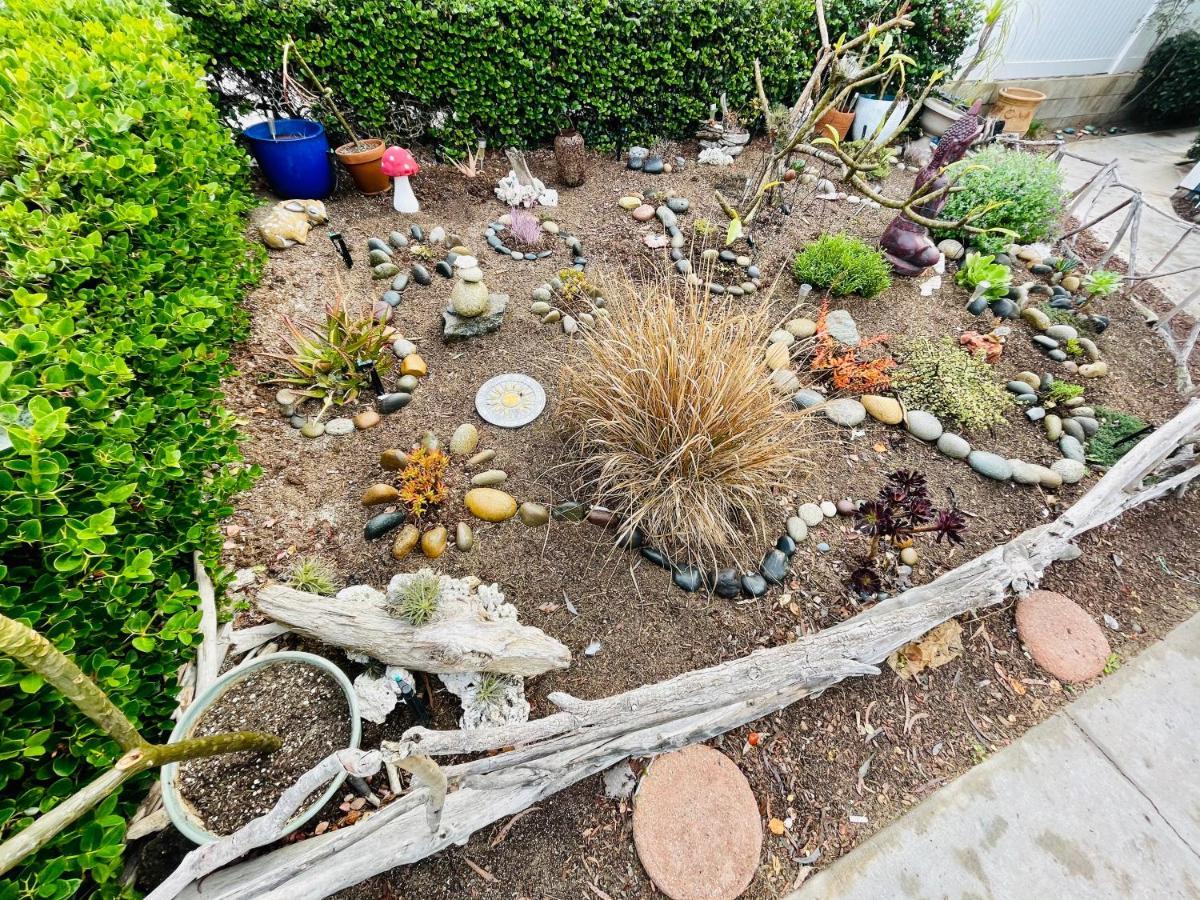 Pacific Beach Butterfly Suite سان دييغو المظهر الخارجي الصورة